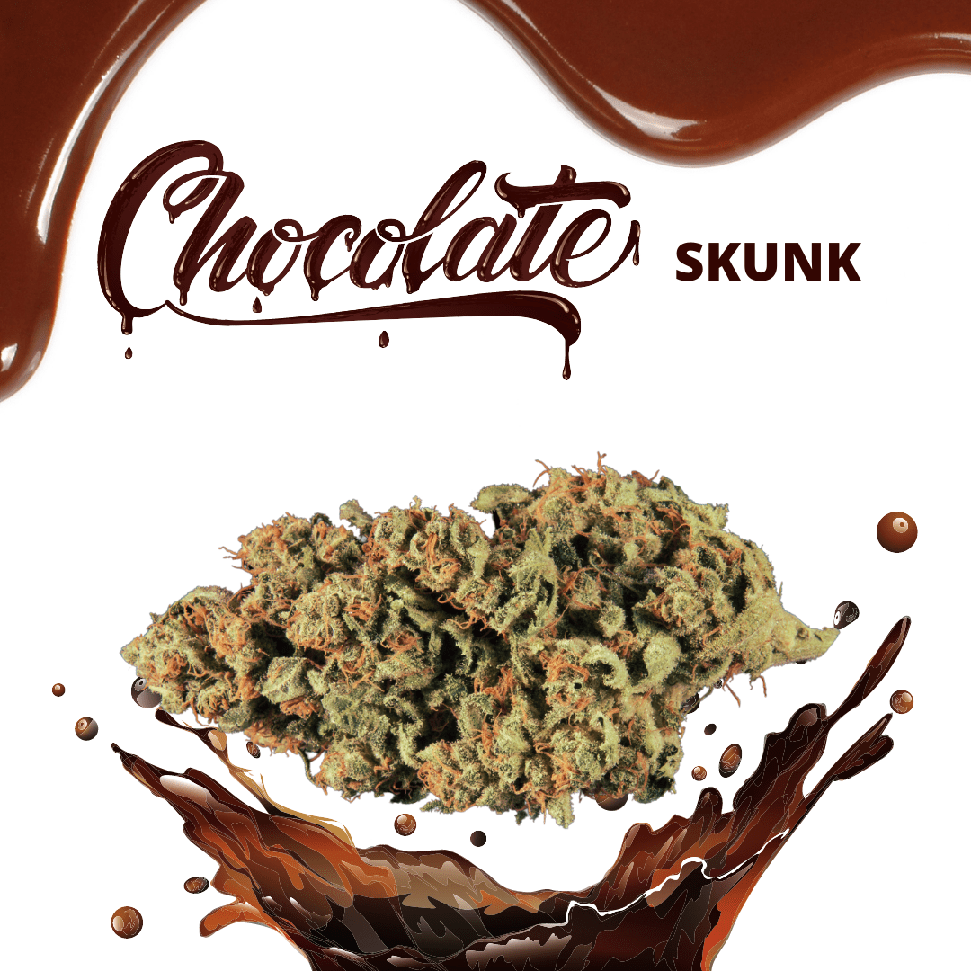 chocolate skunk