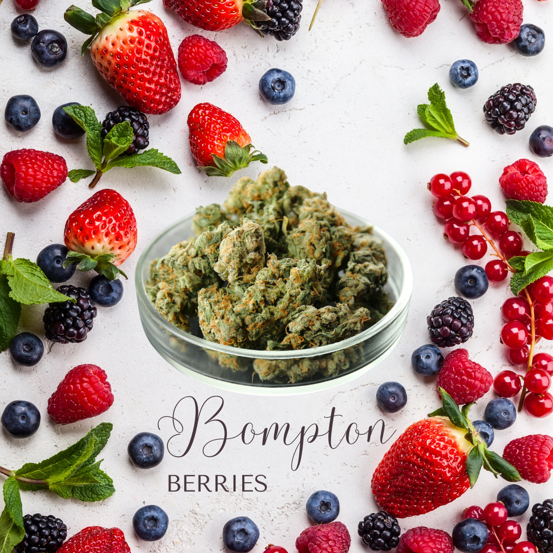 bompton berries