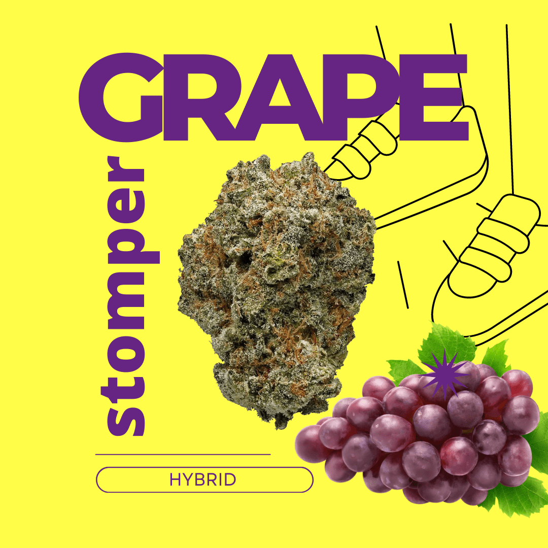grape stompER